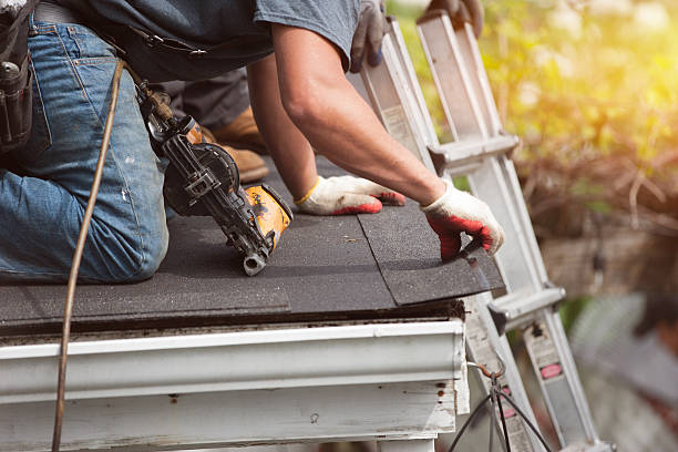 Best Roof Gutter Cleaning  in Cadiz, OH